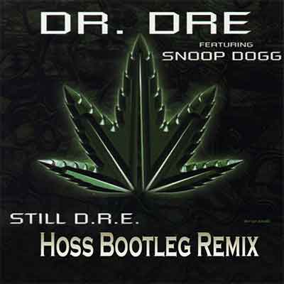 Dr Dre - Still Dre (Hoss Remix)